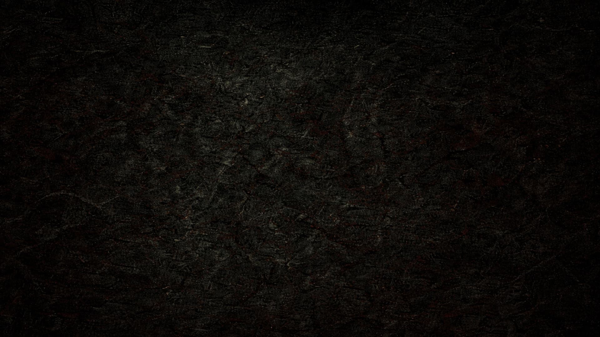 CONTAINMENT