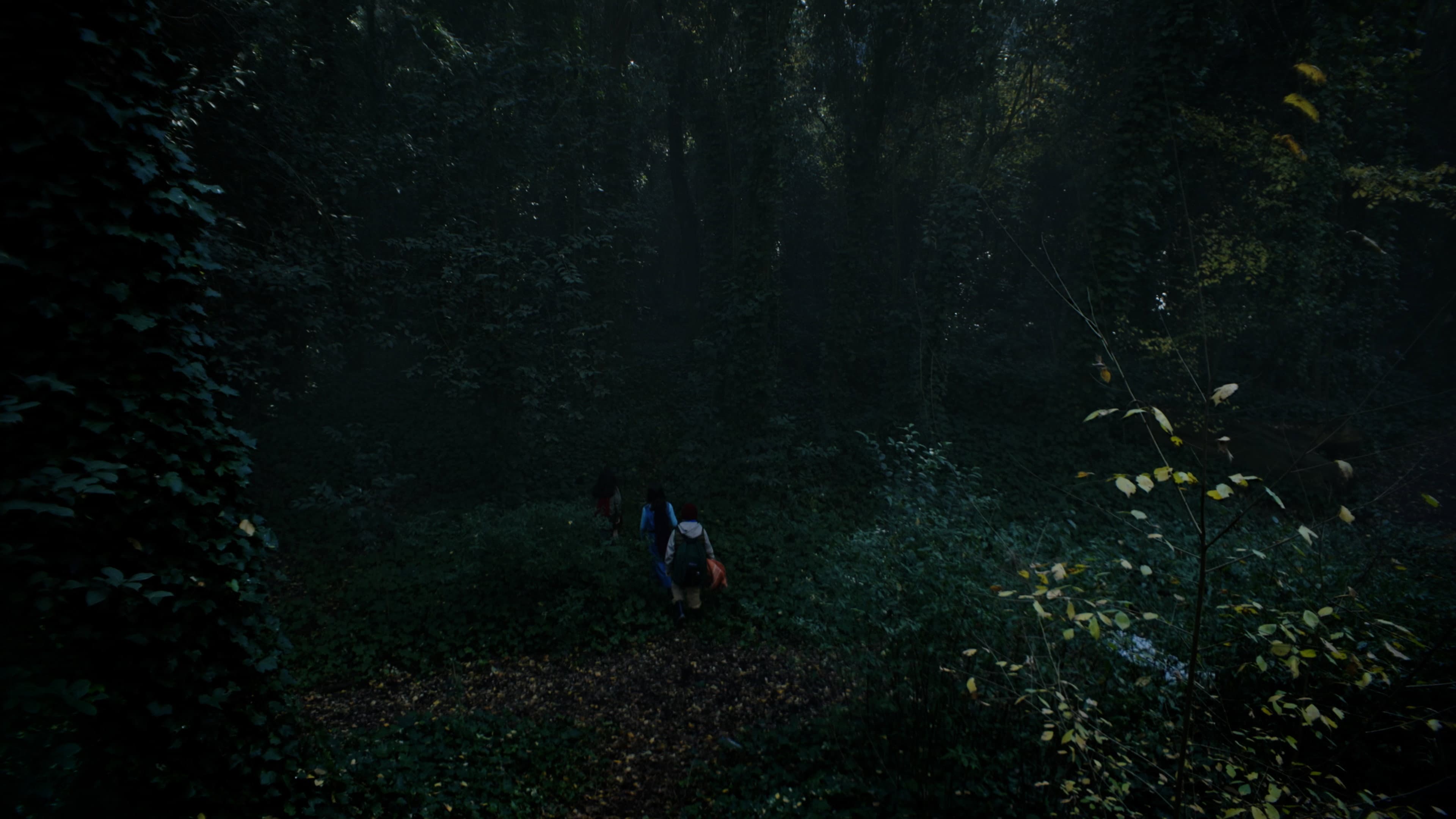 The Quiet Hour