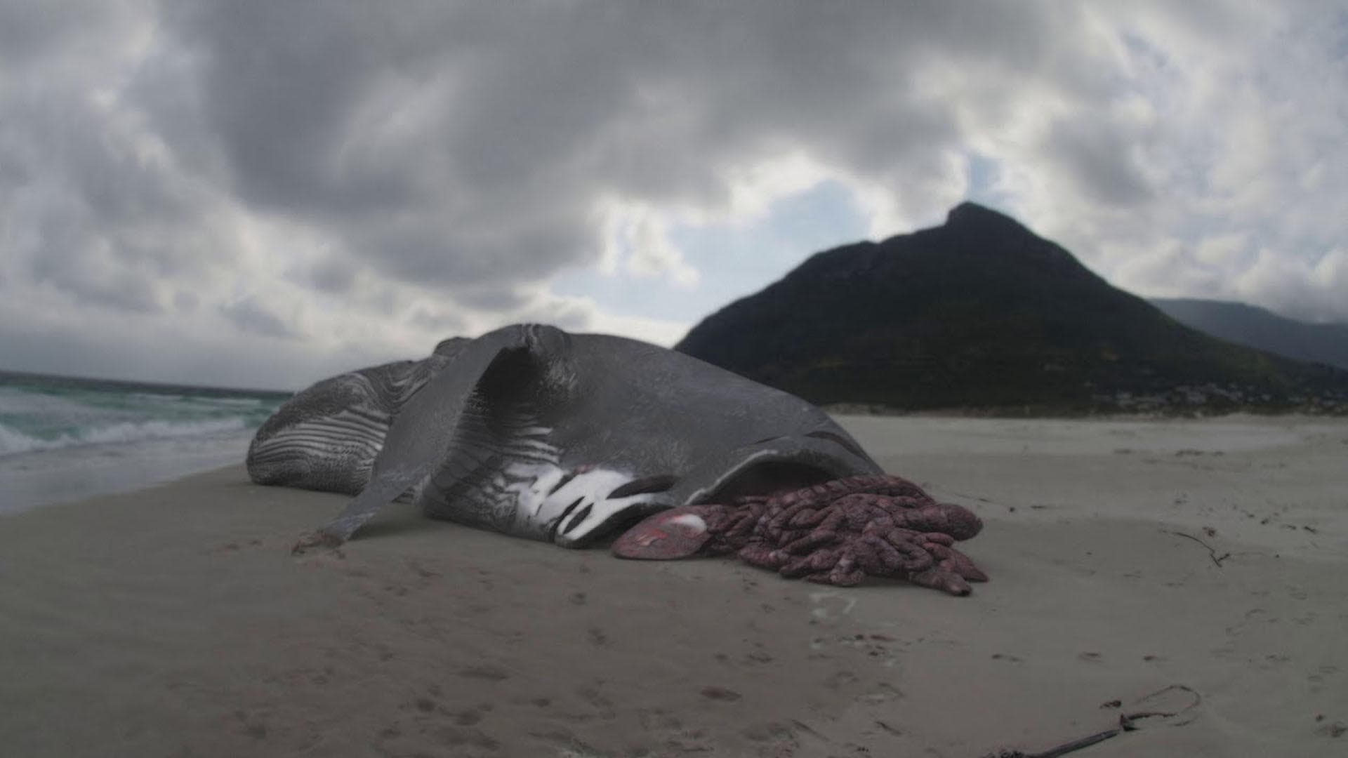 Megalodon : The Monster Shark Lives