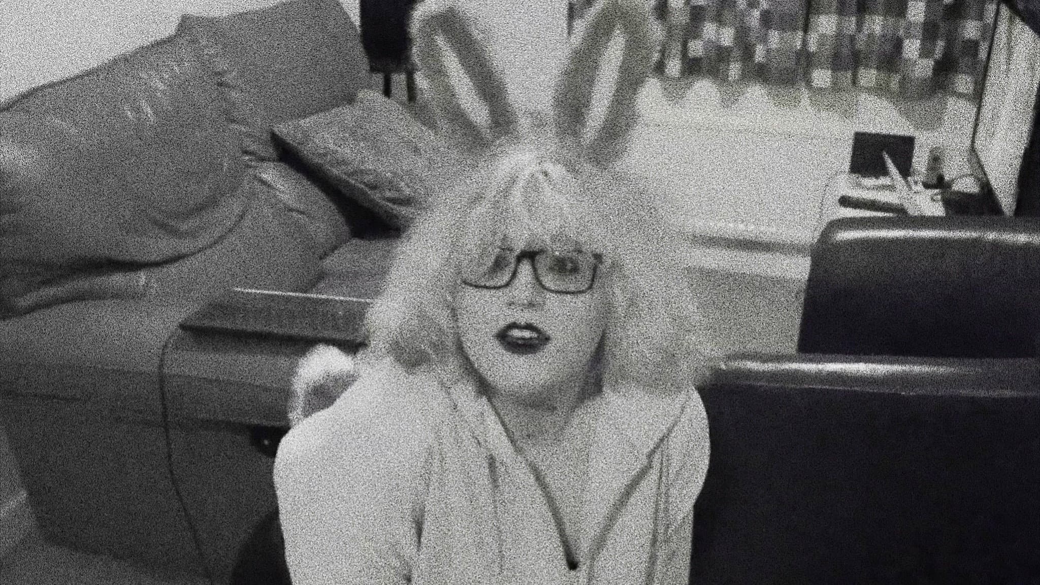 Pet Bunny