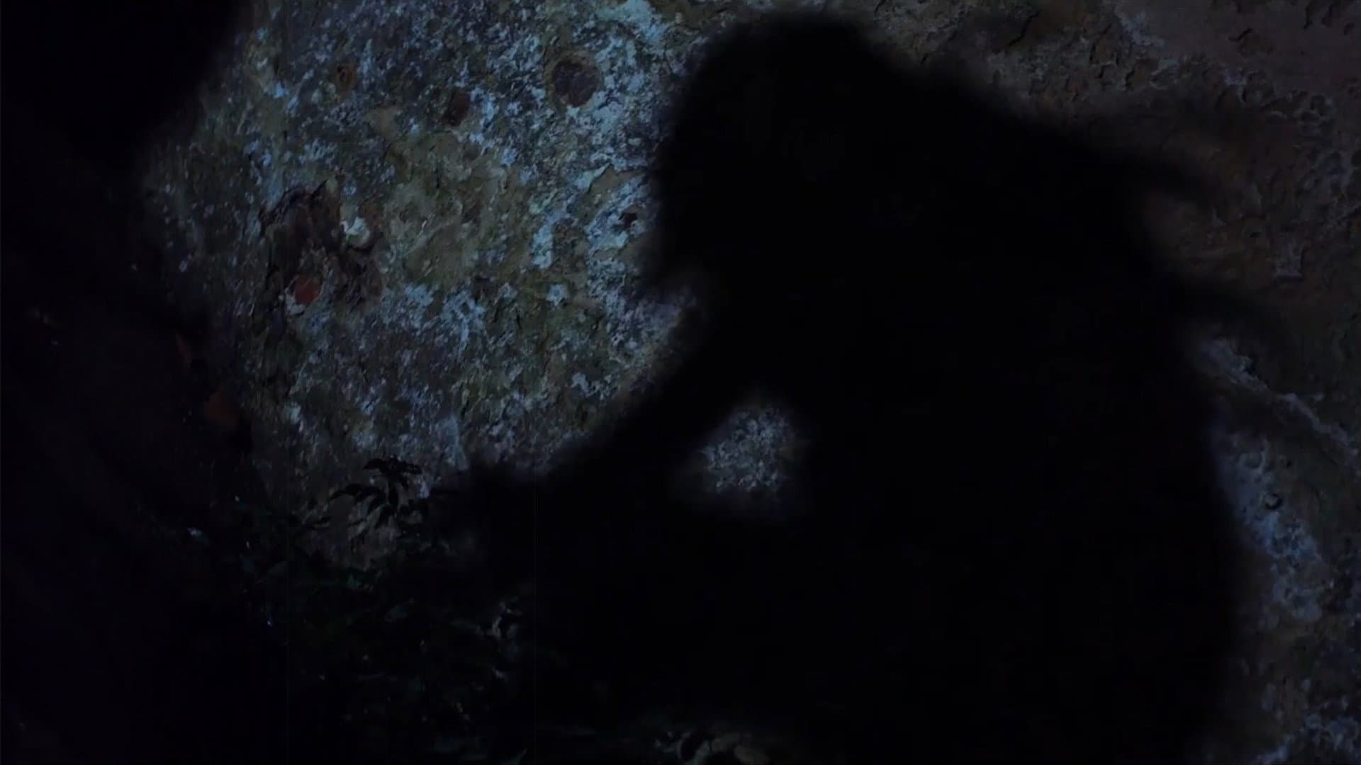 A Dark Path