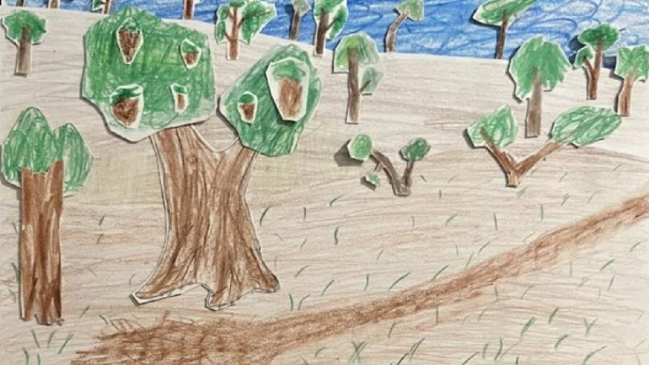 Deforestation