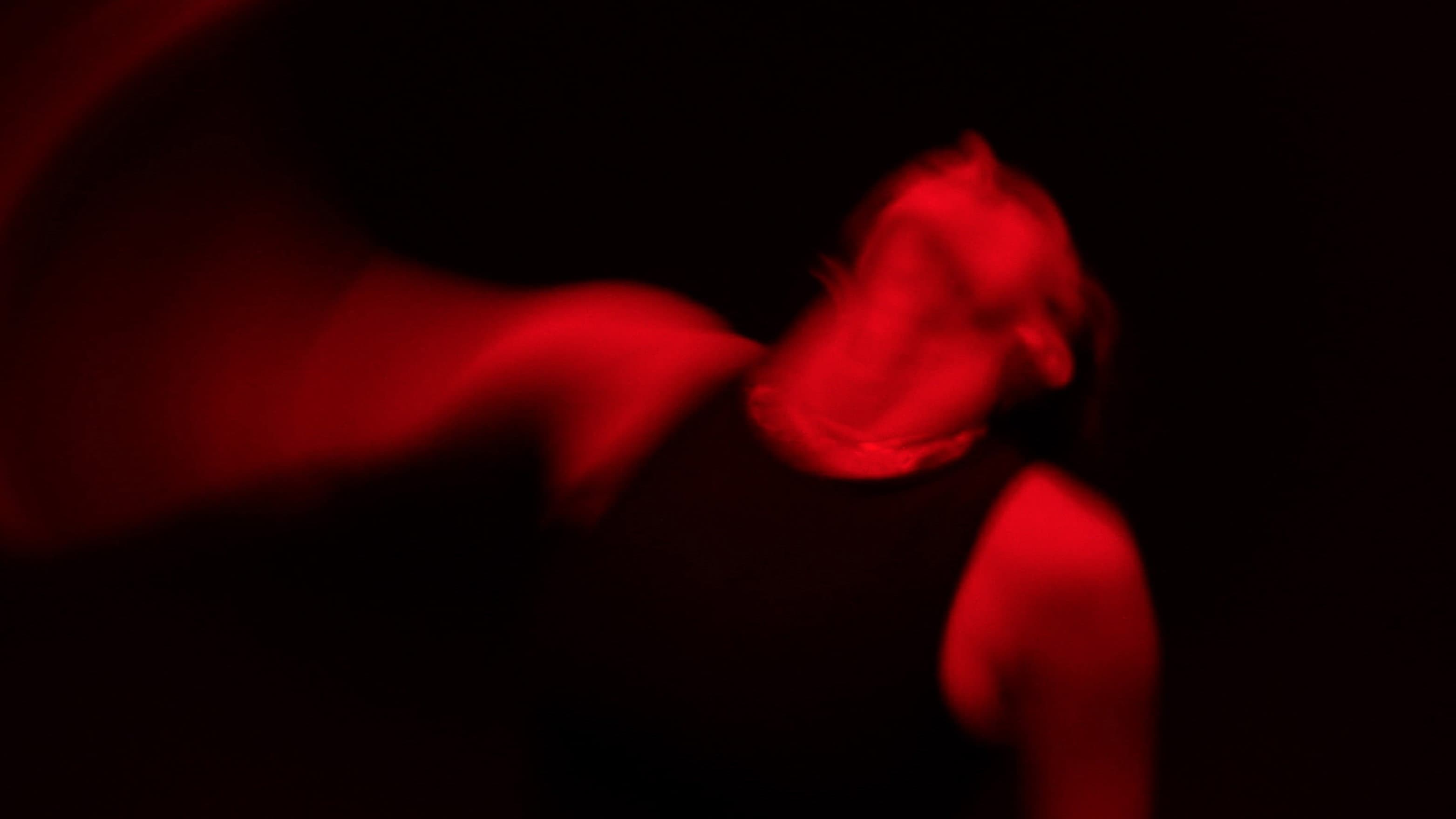 These Violent Delights