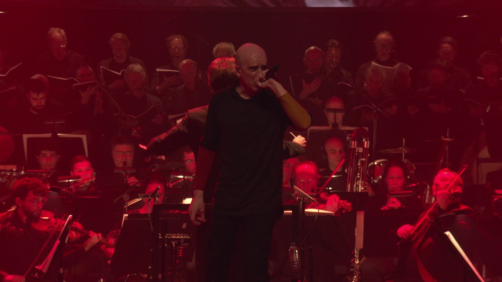 Devin Townsend: The Moth