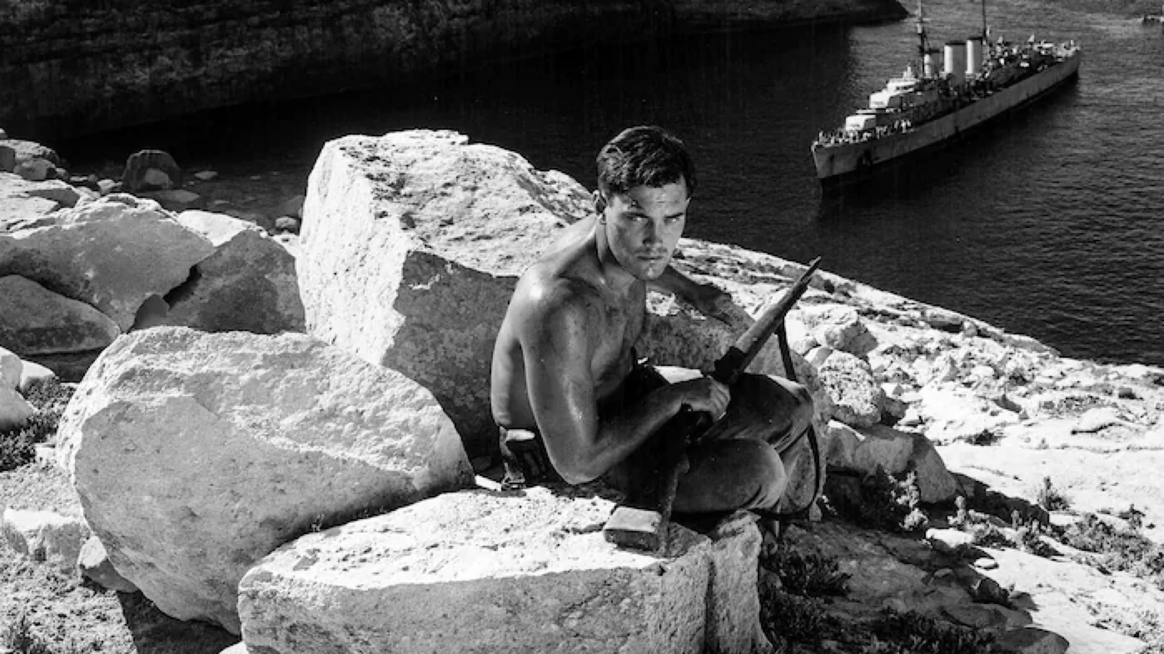 Sailor of the King