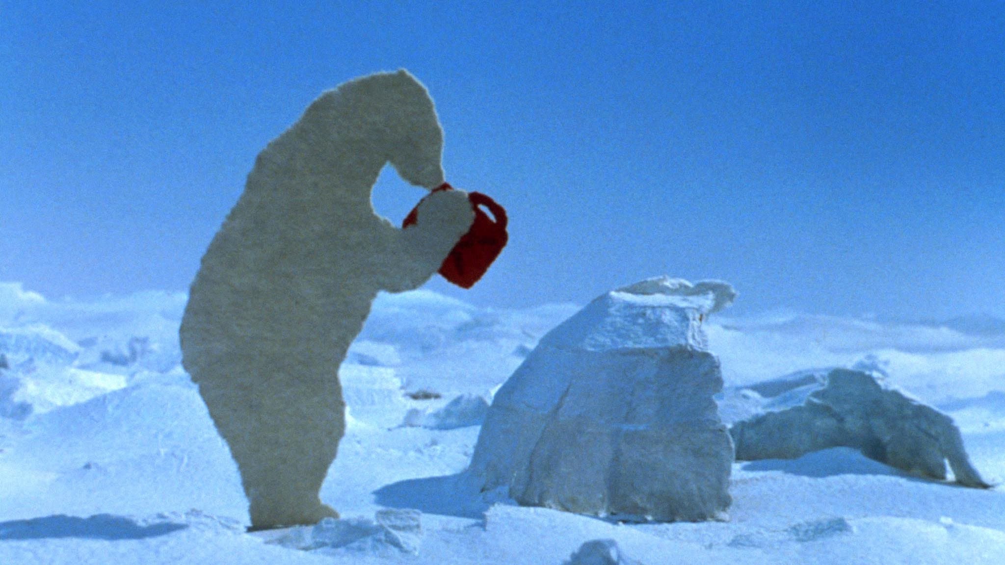 The Sniffing Bear