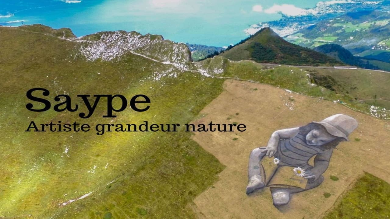 Saype, artiste grandeur nature