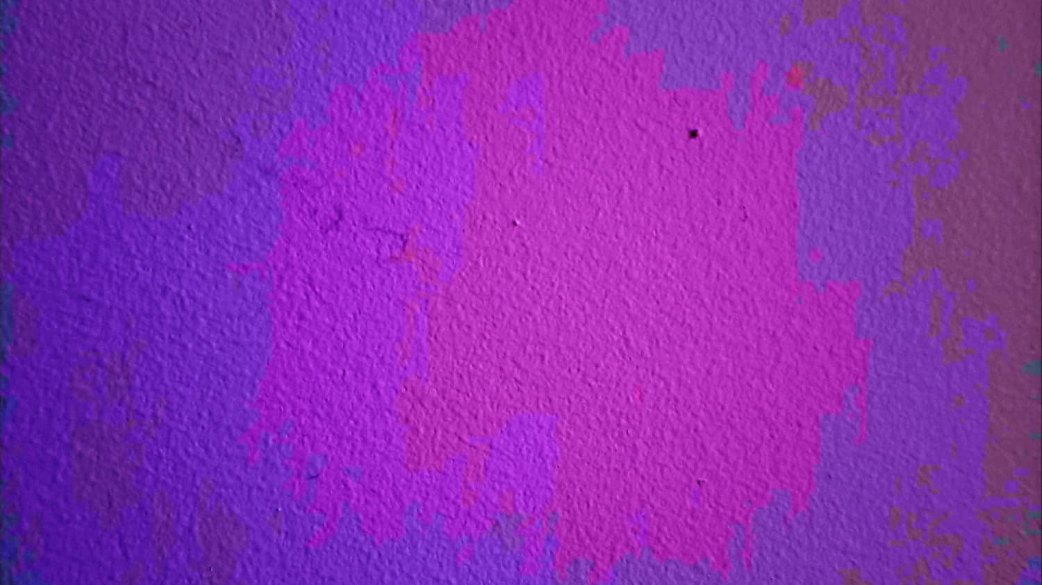 a tiny bug crawls across a wall