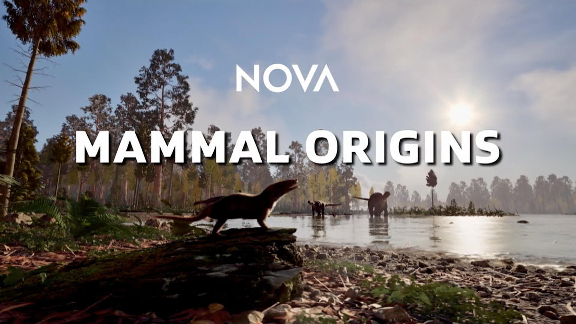 Mammal Origins