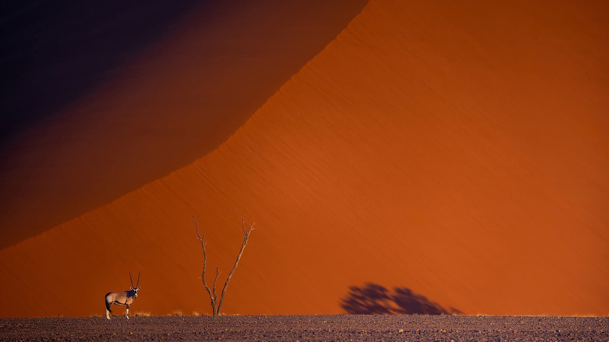 Namibie : exceptionnelle par nature