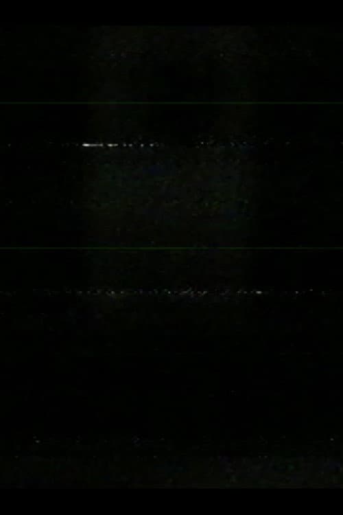 window at night
