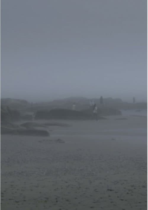 The Fog Has Covered The Moment Again