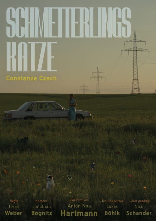 Schmetterlingskatze
