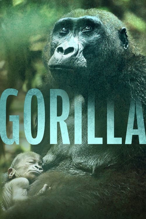 Gorilla