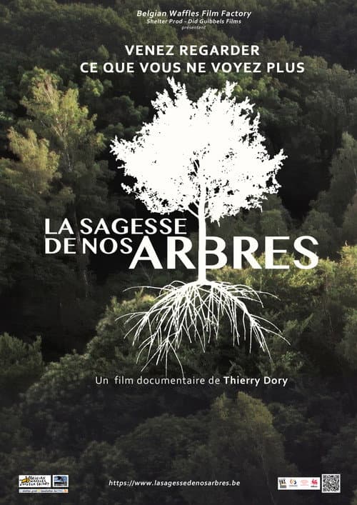 La sagesse de nos arbres