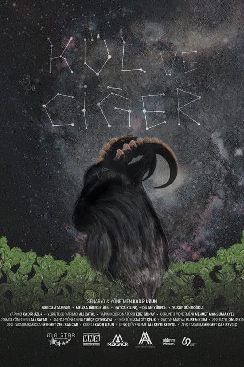 Kül ve Ciğer