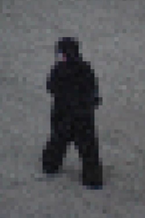 Gorilla Gorilla